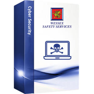 WSScybersecurityBOX.png